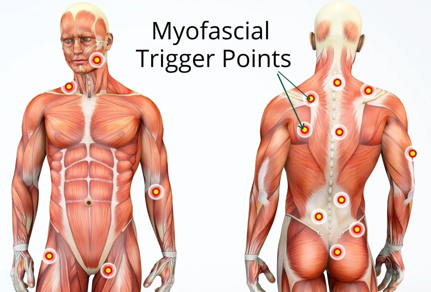 Myofascial Release Massage ( For Tight-Stiff Muscles) Specialized Deep Tissue