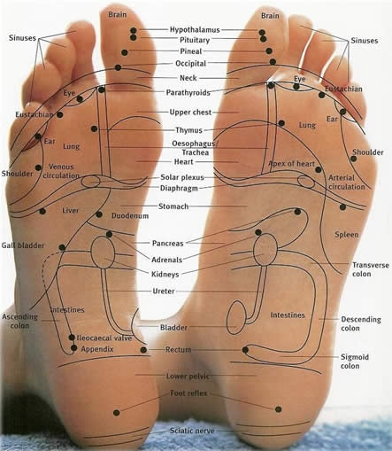 Reflexology Massage w/ Foot Detox Soak